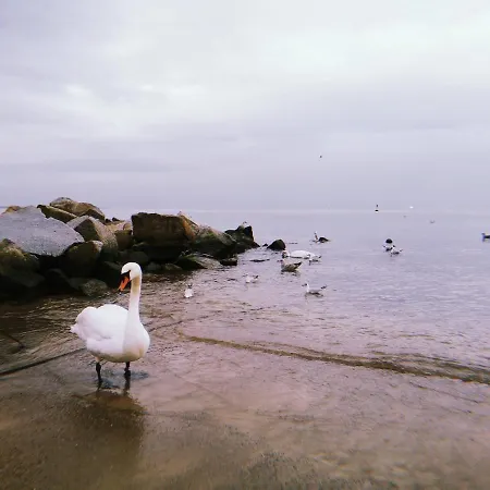 Jola Gdynia