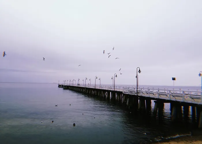 בית אירוח Jola גדינייה